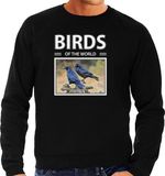 Bellatio Decorations Birds of the World Dieren foto sweater raaf - zwart - heren - cadeau trui raven / vogel liefhebber XXL