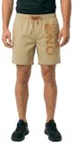 O'Neill Cali 16'' Zwembroek Beige, Bruin L Man