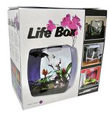 Lucky Reptile Lucky Reptile Life Box, nanoterrarium van acrylglas