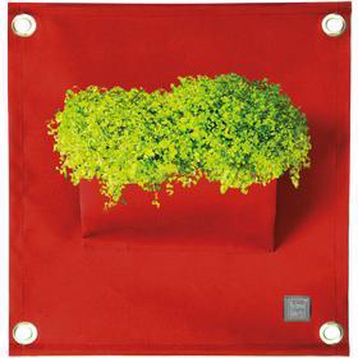 Bloomingwalls Plantenbak Blooming Walls The Green Pockets AMMA1 - Dark Red