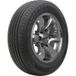 Dunlop Grandtrek PT30 ( 225/65 R17 102H BLK )