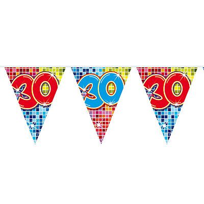 MINI Vlaggenlijn Blocks 30 Jaar 6mtr