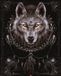 Pyramid Poster - Spiral Wolf Dreams - 50 X 40 Cm - Multicolore