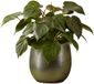 Mica Decorations Plantenpot - keramiek - donkergroen glans / ribbels - D31 x H32 cm
