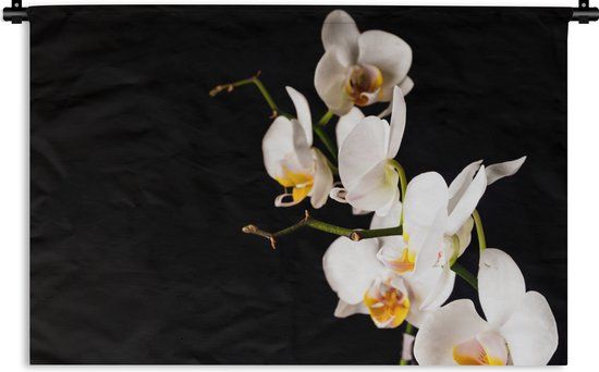 1001Tapestries Wandkleed - Orchidee - Bloemen - Botanisch - 150x100 cm - Katoen - 1001Tapestries