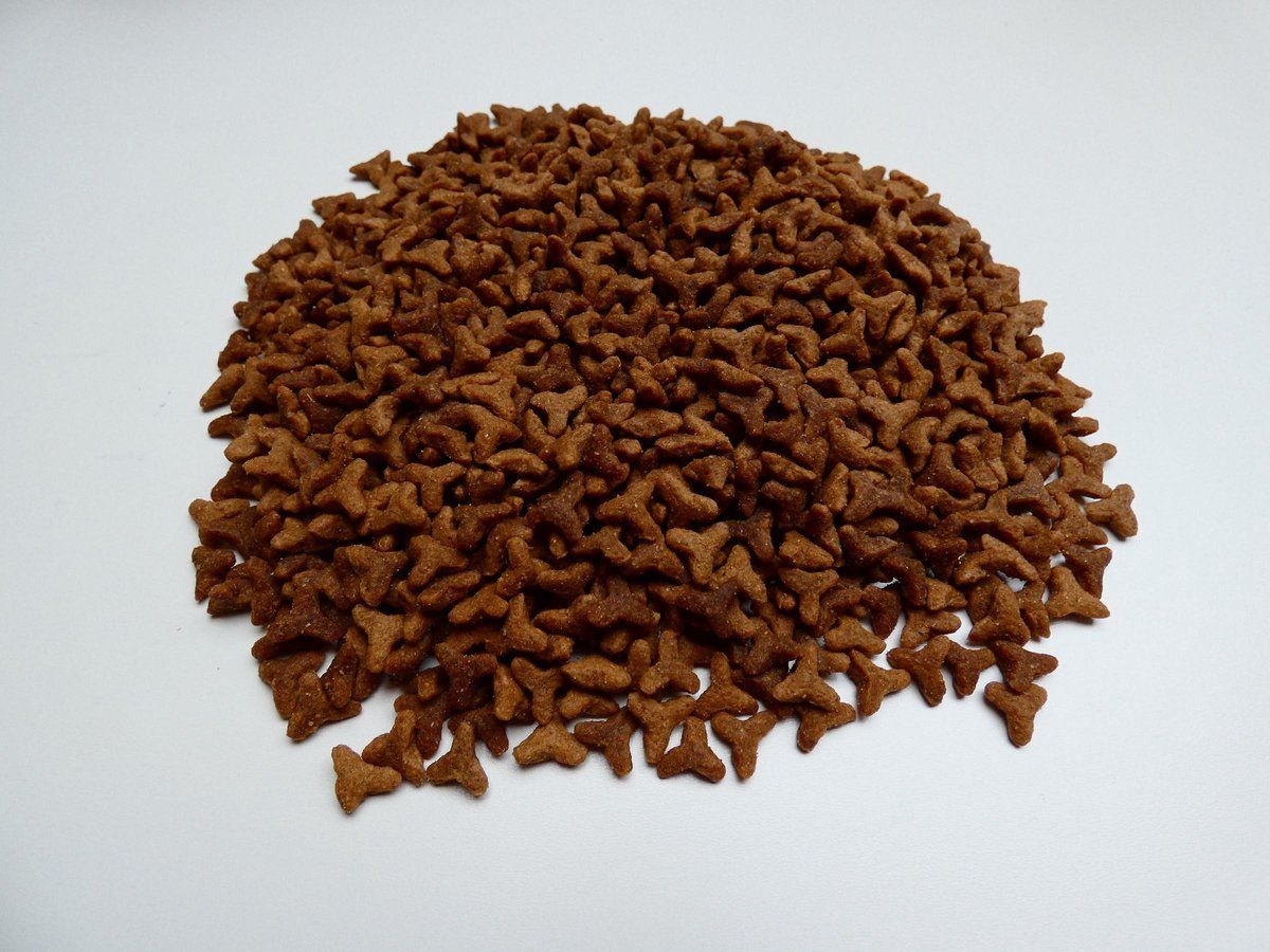 Dogs Delicious Super Premium kat Anti Struvide 10 kilo