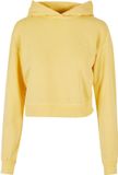 Urban Classics Short Flower Embroidery Terry Hoodie/trui Geel 3XL