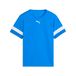 Puma Kindertrui Individual Rise Team Rise