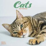 Avonside Publishing Ltd Cats 2027 Calendar