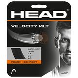 Head Velocity Mlt Enkele Tennissnaar 12 M Zwart 1.40 mm