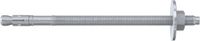 Fischer FBN II 16/300 Boutanker - 420mm - 10 stuks