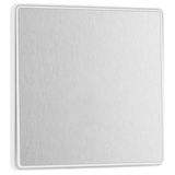 BG Electrical PCDBS12EW Wandschakelaar, enkelvoudig, 2-weg rand-tot-rand, kantelbaar, schroefloze look, afgeronde randen, Evolve, geborsteld staal, 20 A, 16 AX, PCDBS12EW