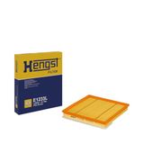 Hengst 6495310000 luchtfilter