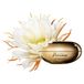 Clarins Precious La Crème Riche Dag- en nachtcrème Gezicht 50 ml