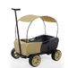 hauck Bolderkar voor 2 kinderen, Eco Mobil vanaf 2 jaar, tot 50 kg, met zitkussen en dak, EVA-banden, parkeerrem, afneembare dissel, antislip handgrepen, inklapbaar (safari)