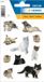HERMA 3433 Stickers Décor Kattenfoto's
