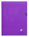 Clairefontaine 373311C Geniet Schrift Mimesys Paars - 24x32 cm - 48 Pagina's Grote Ruitjes - Wit Papier 90 g - Polypro Omslag
