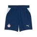PUMA Short 26/27 FC Rouge Bull Salzburg Enfant et Adolescent, Accessoires, Bleu, 9-10Y