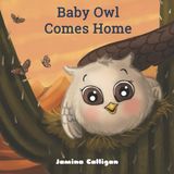 Baby Independently Published Baby Owl Comes Home Paperback