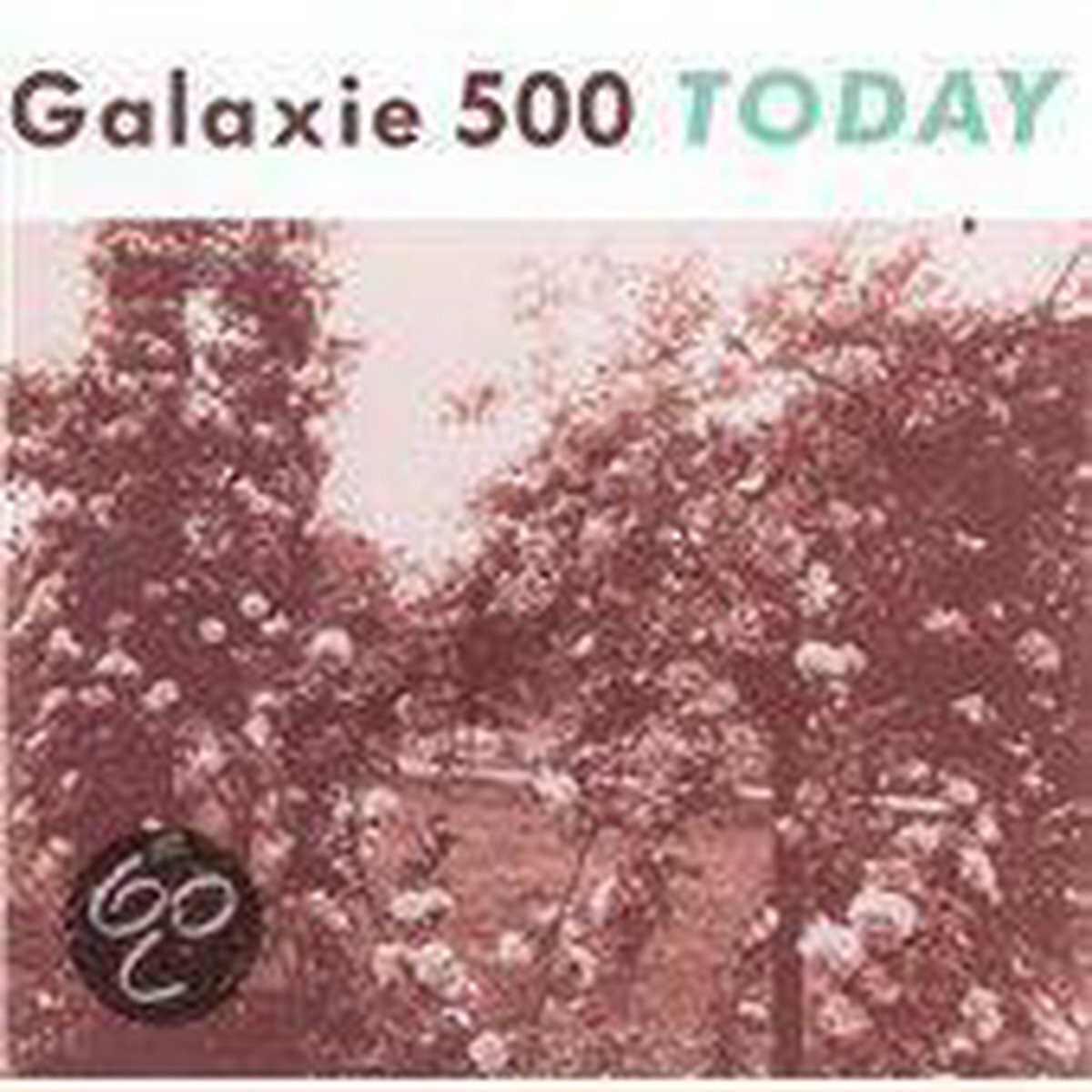 Konkurrent Galaxie 500 - Today (LP)