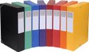 Exacompta 10x Cartobox Archiefdoos Rug 60mm - A4 Geassorteerd