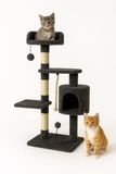 Krabpaal Mobiclinic Silvestre Krabpaal voor katten