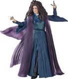 Marvel Hasbro Marvel Legends Agatha Harkness 15 cm Actiefiguur