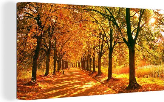 OneMillionCanvasses Canvas Schilderij 160x80 cm - Bos Herfst - Wanddecoratie