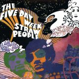 Proper S&D Consignment Five Day Week Straw People - Five Day Week Straw People