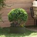 vidaXL Plantenring Olijf Groen 40 x 40 x 20 cm Koudgewalst staal