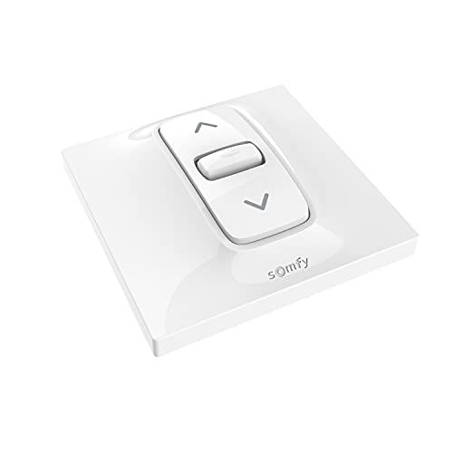 Somfy 1870881 - Bedrade vaste standenschakelaar voor Inis gemotoriseerde rolluiken of jaloezieën | Om 1 bedrade motor te bestellen