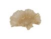 Olsson & Jensen Bol Loa grand 32 cm Beige
