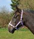 Rhinegold Nylon Halster - Shetland - Lila