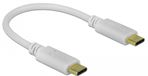 Delock 85357 câble USB-C 0,15 m USB C 100 W Blanc