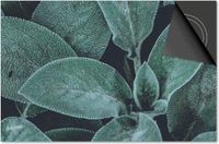 Dietrix Inductie Beschermer - DELUXE - Leaves - 81x52cm - Lichtgroene bladeren