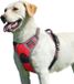Ibenzoa® Harnais robuste pour chien avec contrôle de traction et éléments réfléchissants – Convient aux grandes races