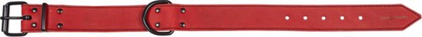 Jack And Vanilla Black Label Brede Halsband - Rood - 40mmx50cm - Hond