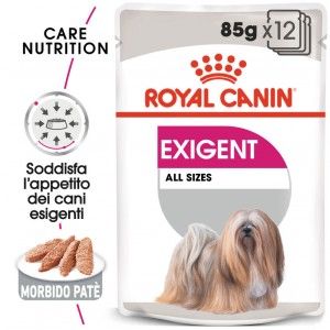 Royal Canin Exigent natvoer 12 zakjes