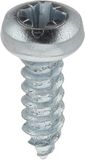 Plaatschroeven roestvrij staal A4 cilindrisch gebogen Pozidrive 2,9 mm x 10 mm DIN 7981 zink wit 75 stuks
