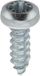 Plaatschroeven roestvrij staal A4 cilindrisch gebogen Pozidrive 2,9 mm x 10 mm DIN 7981 zink wit 75 stuks