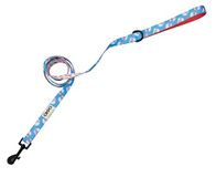 Croci Robuuste hondenriem, gemaakt van neopreen en nylon | Fantasia Foodie | Metingen: 1,9X150 CM, Multicolor, C5057165