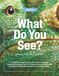 Reptiles—What Do You See? What Do You Learn?: A colorful crawler famous for its ever-changing colors and a dragon that’s the longest and heaviest ... details about 10 roaming reptiles