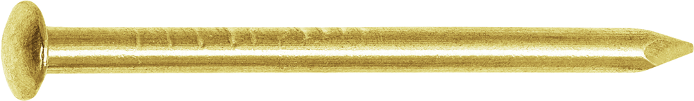 Connex Brass Nails 2.5X40 50G Ms - KY1052540