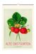 Alte Favoritenpresse Alte Obstsorten. Wandkalender 2027