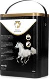 Excellent Biozin Paarden - Supplementen voor Paarden - Appelsmaak - 2.5 kg