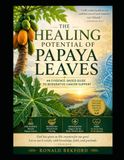 The Healing Potential of Papaya Leaves An Evidence-Based Guide to Integrative Cancer Support