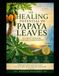The Healing Potential of Papaya Leaves An Evidence-Based Guide to Integrative Cancer Support