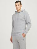 JJ Rebel Logo Hoodie Heren - Lichtgrijs - Maat XS