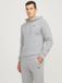 JJ Rebel Logo Hoodie Heren - Lichtgrijs - Maat XS