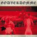 Sonic Rendezvous Godverdomme (Tim Steinford) - Wai Sein Neederland (CD)